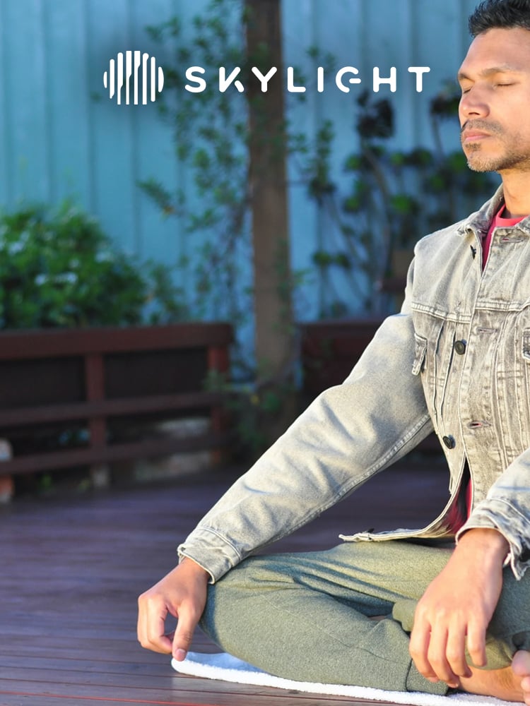 carousel-small-skylight